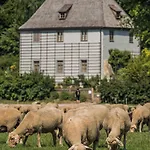 Hotel Dorint Am Goethepark Weimar (Thuringia)