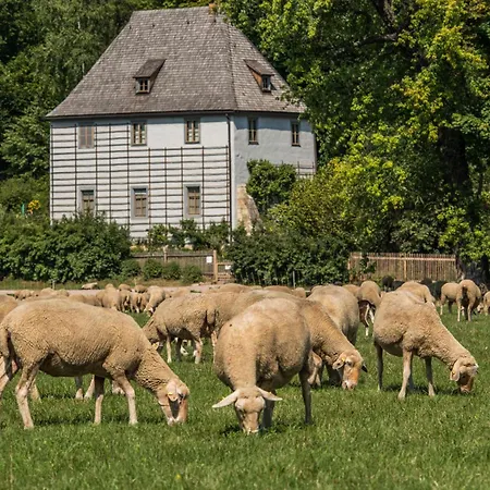 Dorint Am Goethepark Hotel Weimar (Thüringen)