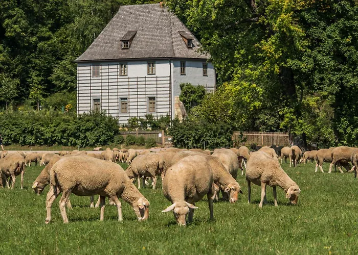 Dorint Am Goethepark Otel Weimar (Thuringia)