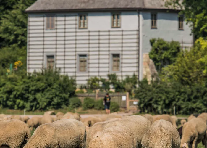 Otel Dorint Am Goethepark Weimar (Thuringia)